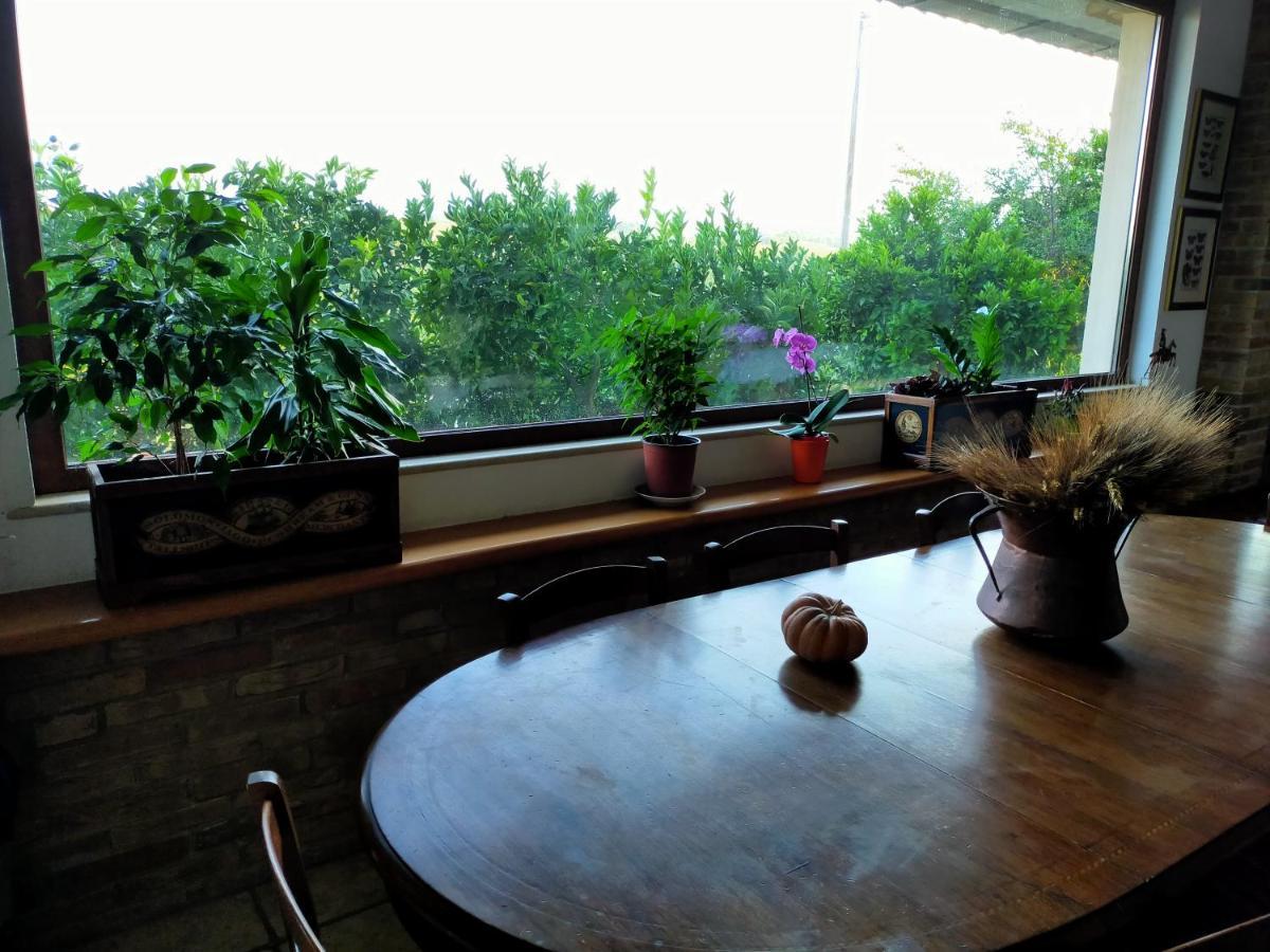 Cepagatti Casale Del Sole Bed & Breakfast エクステリア 写真