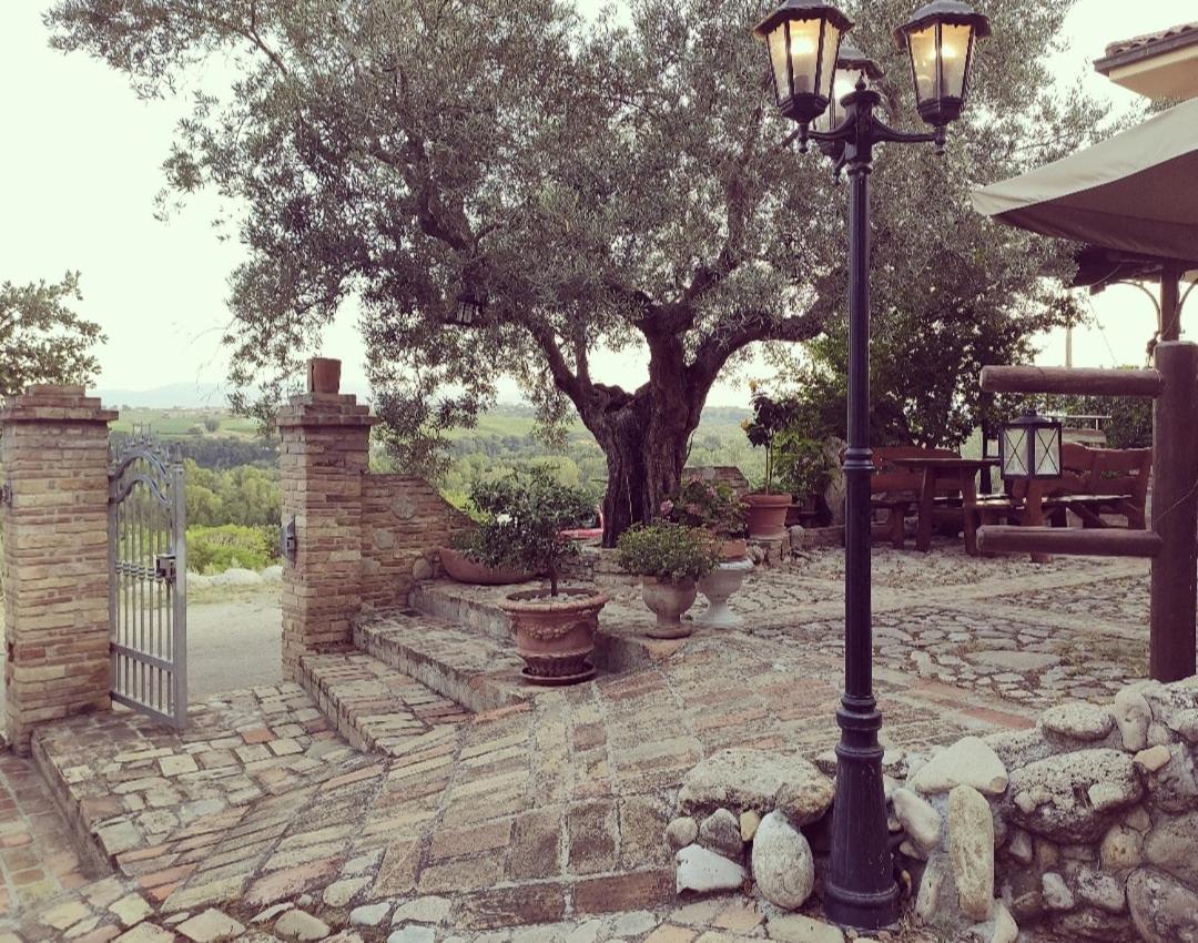 Cepagatti Casale Del Sole Bed & Breakfast エクステリア 写真