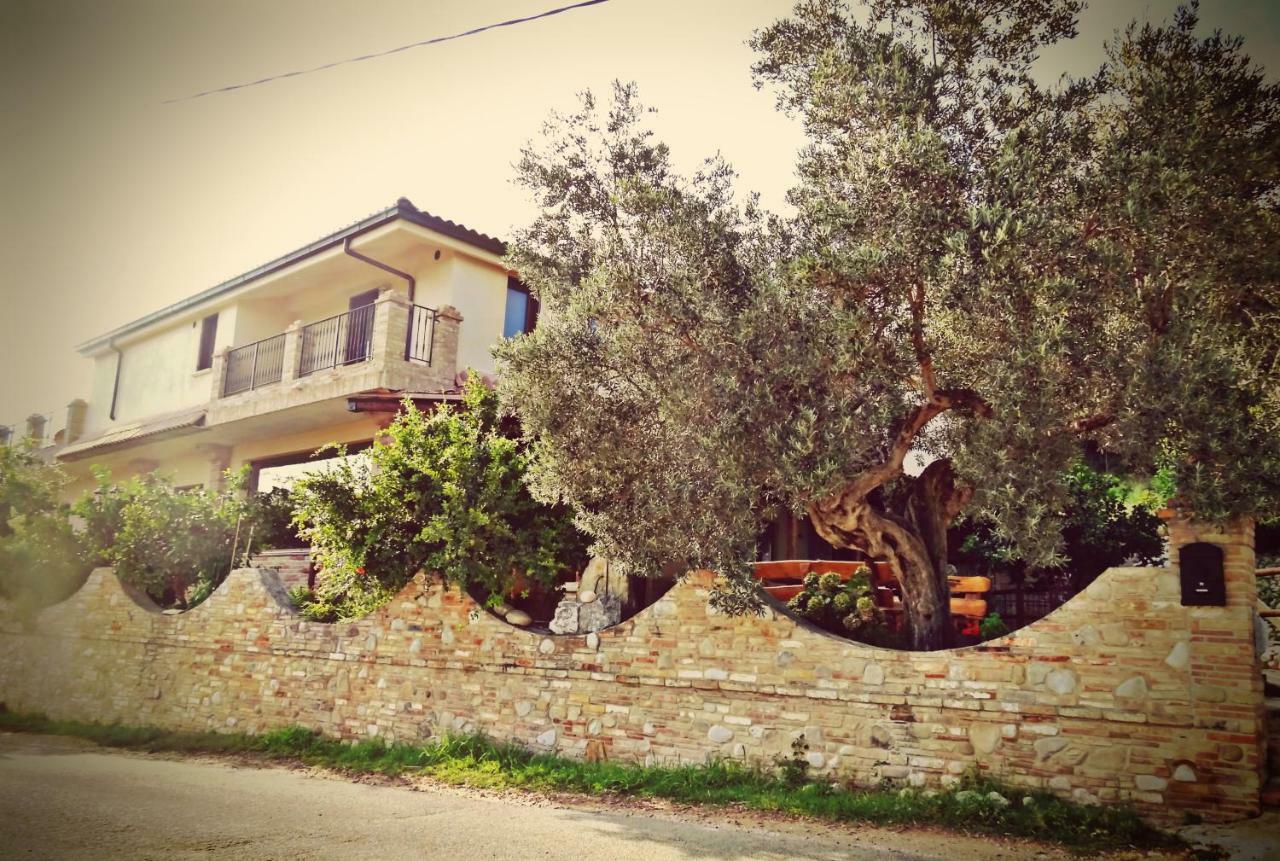 Cepagatti Casale Del Sole Bed & Breakfast エクステリア 写真
